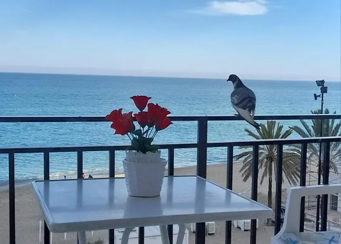 Center Beachfront Yate Фуенхірола